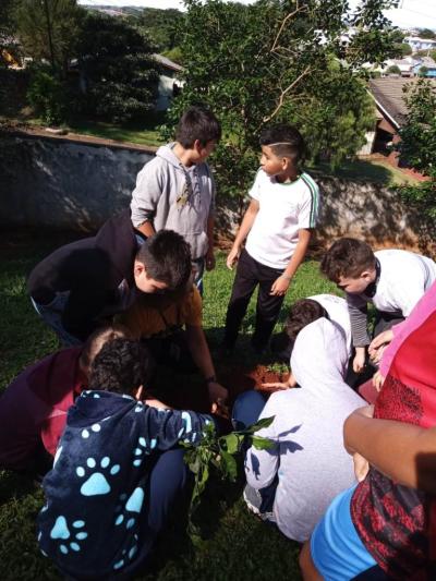 UFFS e Escola Agua Verde realizam plantio de Ã¡rvores atravÃ©s projeto Ponto De Cultura